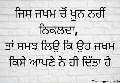 Punjabi Status about Life