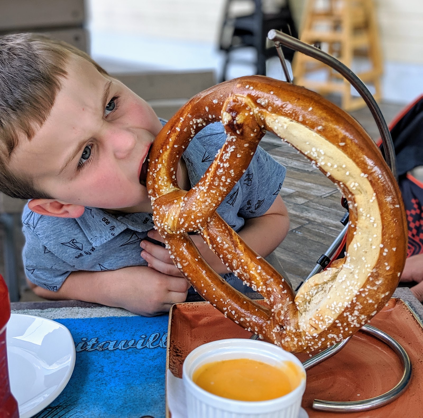 Pigeon Family Adventure Parrot Mountain, The Island, Frizzle