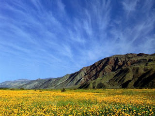 صور المناظر الطبيعية