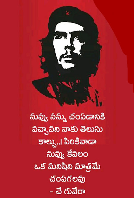 Che Guevara Quote _ Telugu