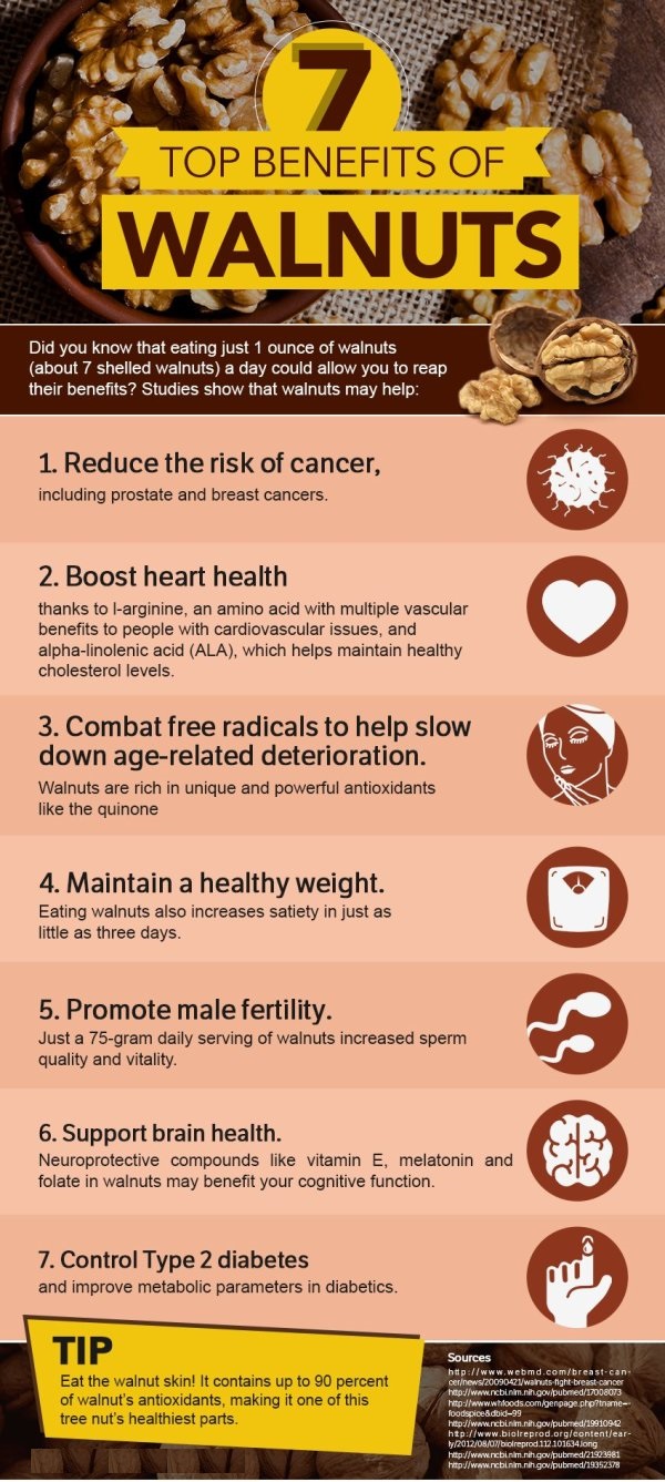 Walnuts KTP International, India