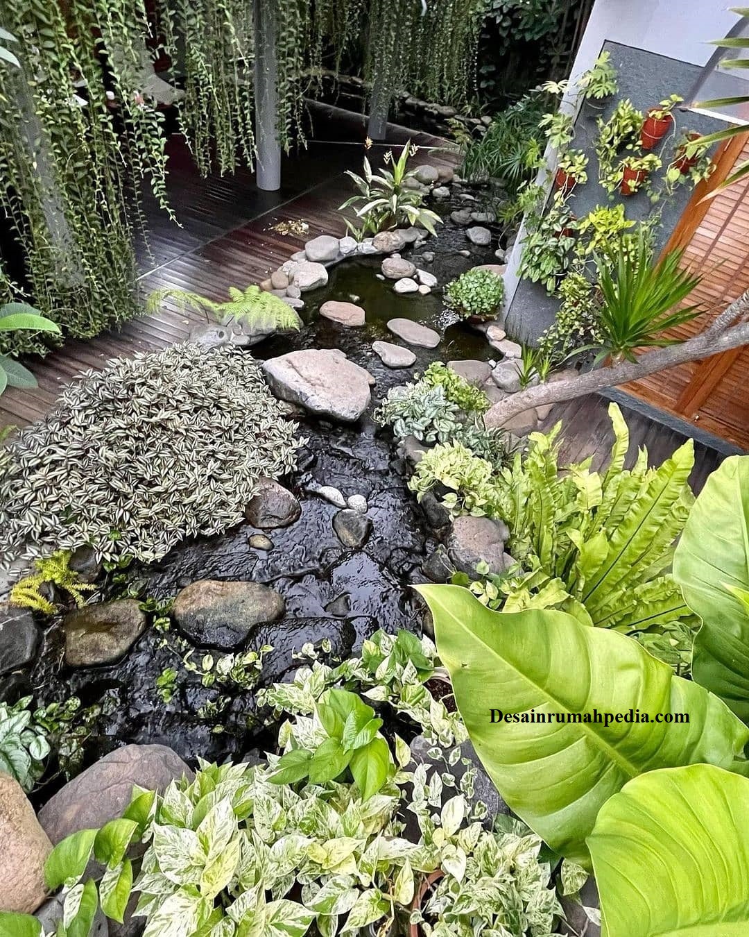 Taman yang Indah dengan 6 Desain Kolam Ikan yang Menyegarkan Mata