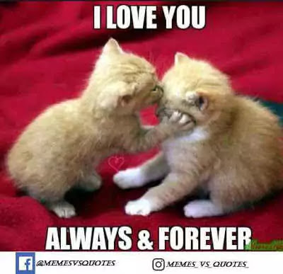 Click and get 101 best I Love You Meme that you can get anywhere else. I Love You Meme
