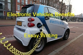 essay on electric vehicle industry