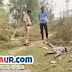 बरहट : मलयपुर पावर ग्रिड के समीप मिले अज्ञात लाश की हुई पहचान