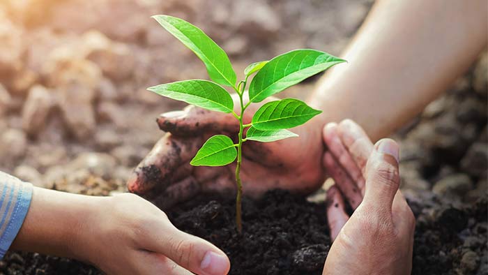 Jinsiy mayo kiygan bikinili chaqaloqlar Jinsiy buzuq ozini yopib qoydi