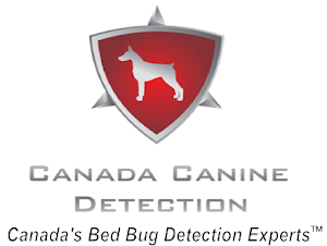 Toronto Bed Bug Inspection Dog