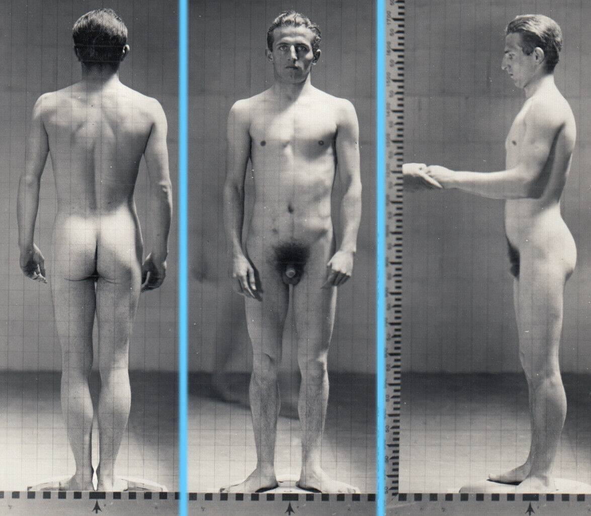 Male physical exam nude