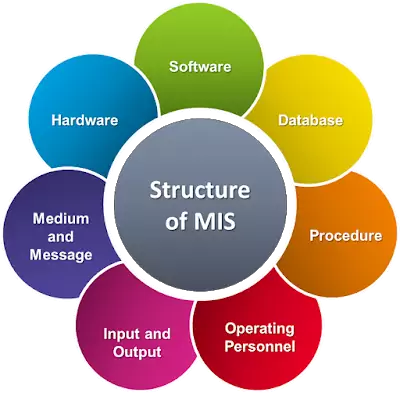 Top 10 Characteristics and Applications of MIS 1 Characteristics and Applications of MIS