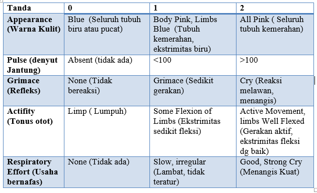 Makalah PEMERIKSAAN FISIK PADA BAYI BARU LAHIR SERTA KELAINANNYA