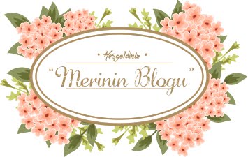 Merinin Blogu