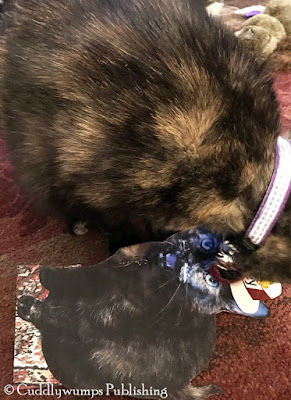 Real Cat Paisley attacks Flat Paisley