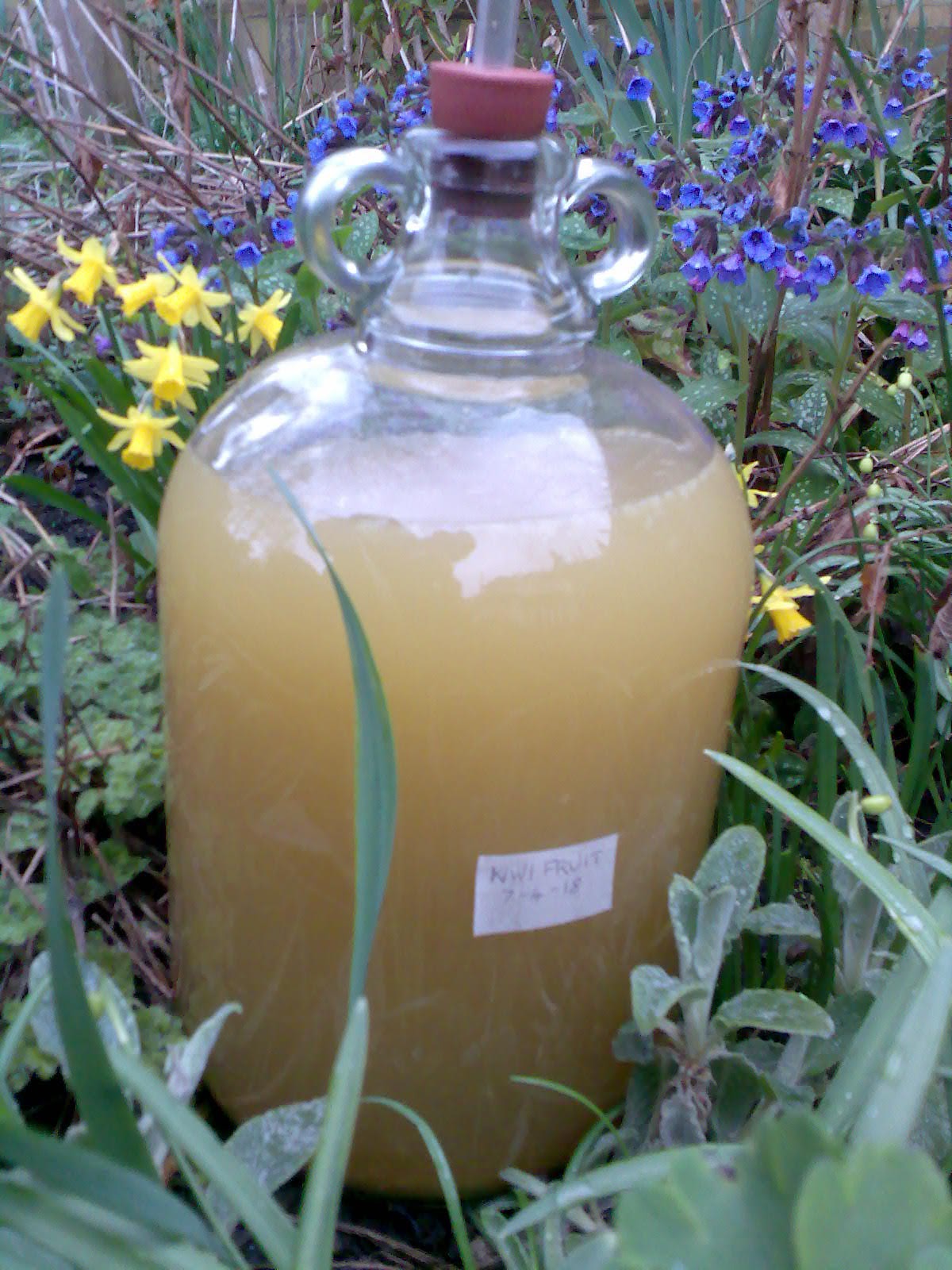 Ben's Adventures in Wine Making Kiwi Fruit Wine 2018 The Making Of...