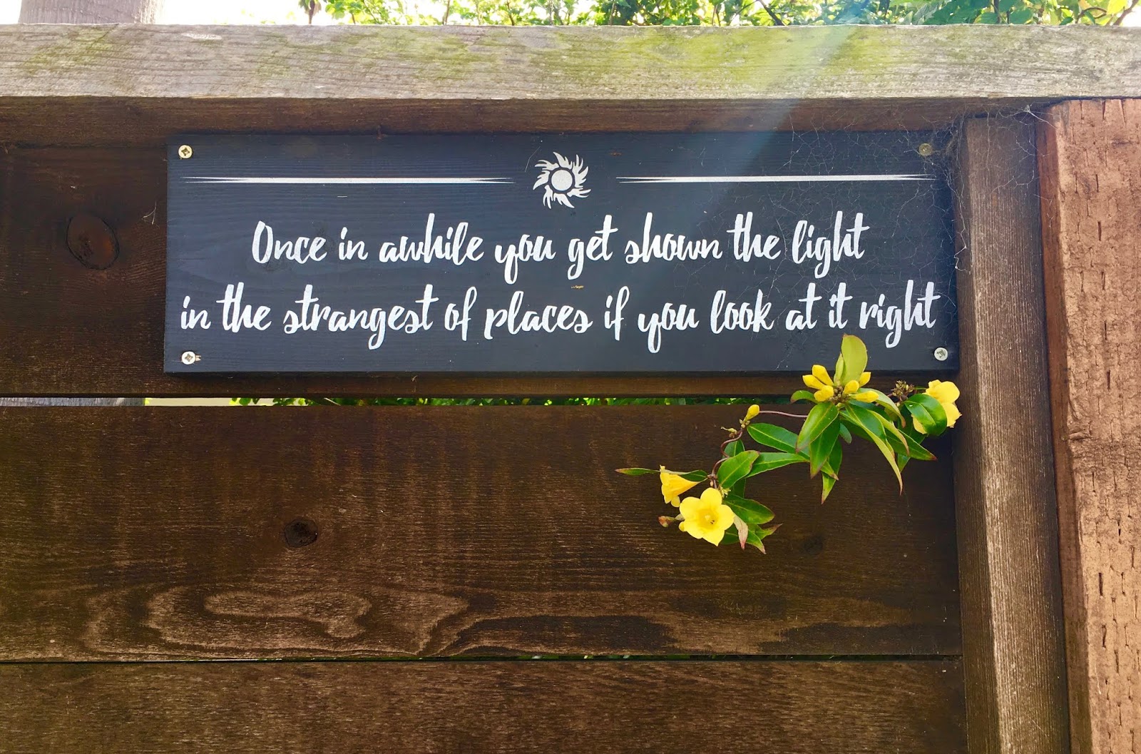 Blogtown Once In A While You Get Shown The Light