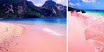 Two Amazing Pink Sand Beaches in the Philippines