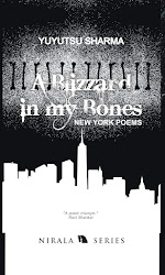 A Blizzard in my Bones: New York Poems