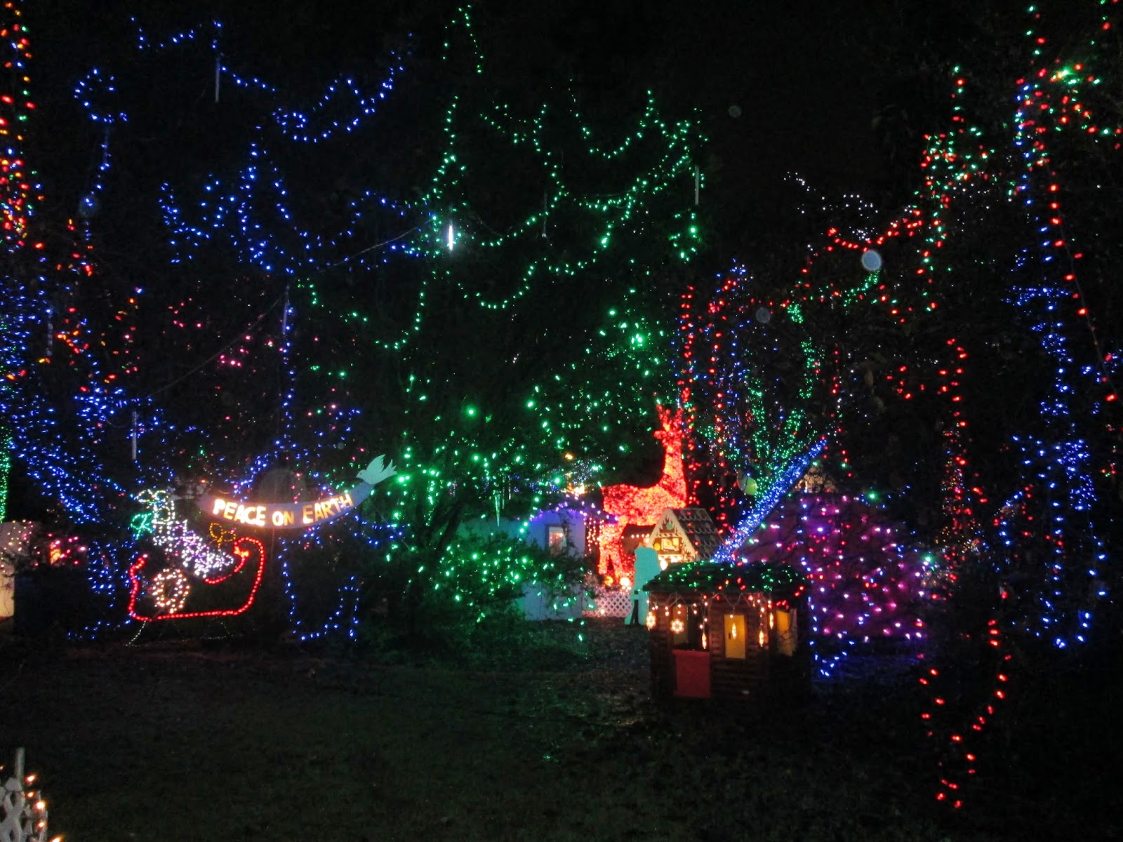Happy Tiler Christmas Baking, Lights and some Action