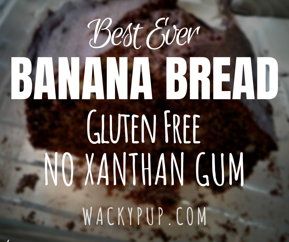 Wacky Pup Gluten Free, All Natural No Xanthan Gum Banana Bread!
