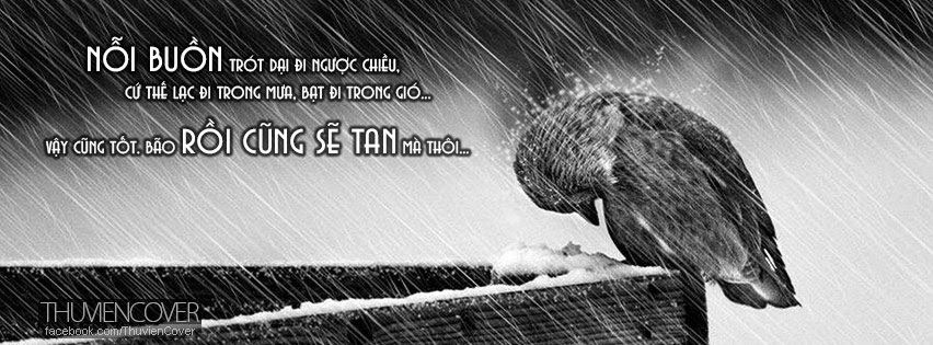 Ảnh-bìa-mưa-buồn-facebook-cover-hình-2 Ảnh-bìa-mưa-buồn-facebook-cover-hình-2