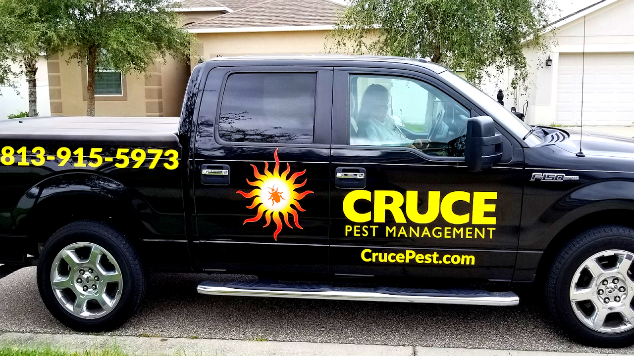 Pest Control Brandon Fl Brand Choices