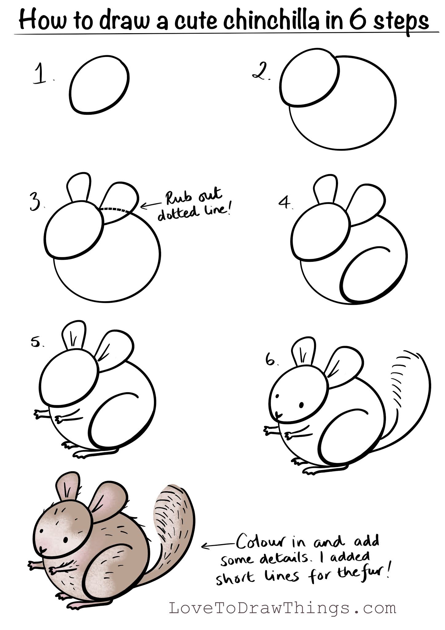 Featured image of post The Best 22 How To Draw A Chinchilla