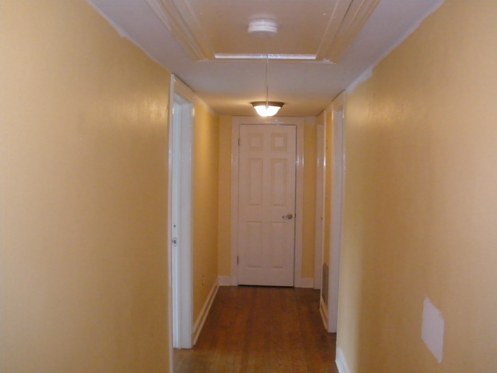 Painting Tampa Bay Interior Painting Dunedin Florida