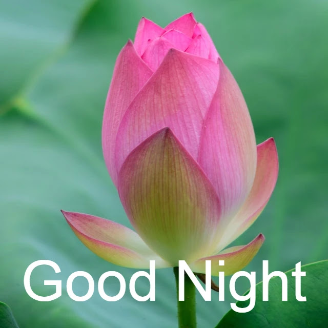 Good Night HD Images Collection Good Night HD Images Collection