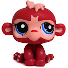 Littlest Pet Shop Multi Pack Monkey (#1737) Pet