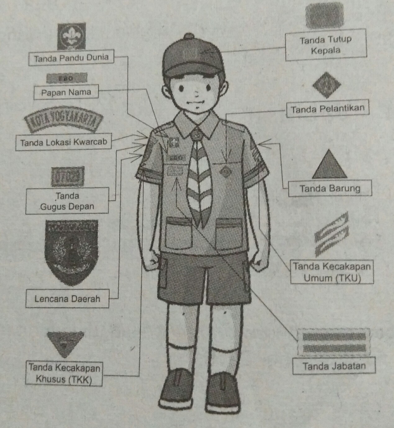 Keterampilan Dasar Berkemah Materi Sekolah