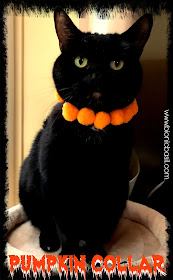 Creepy Crafting with Cats Halloween Special ©BionicBasil® BBHQ Easy Peasy Pumpkin Collar