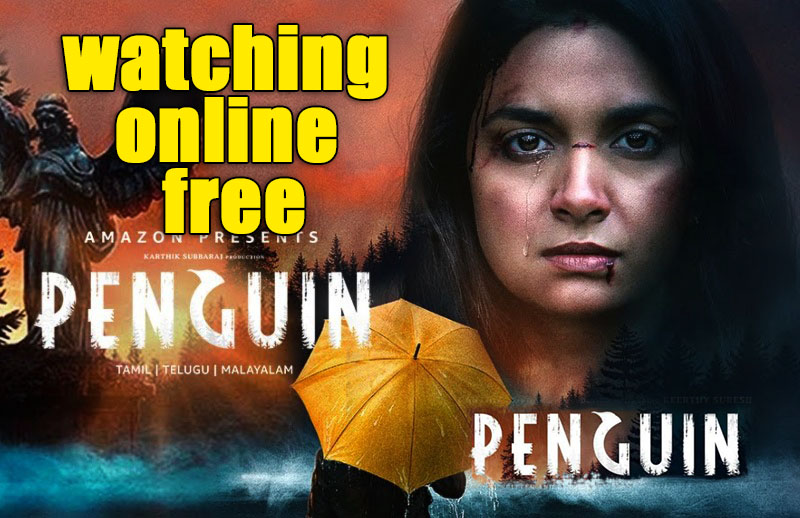 Penguin’ movie review watching online - Android Box