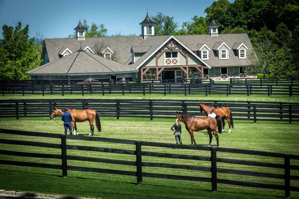Double H Farm Ridgefield, CT [ Stable Insider ]