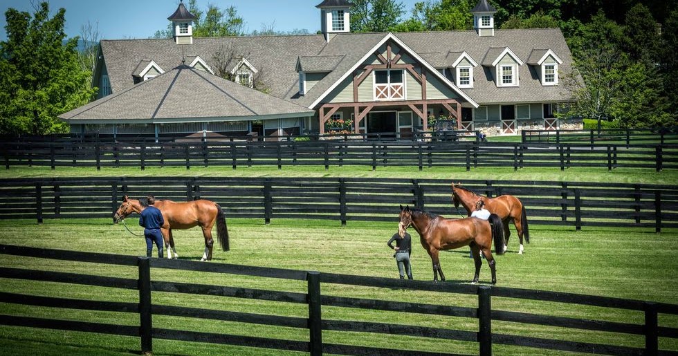 Double H Farm Ridgefield, CT [ Stable Insider ]