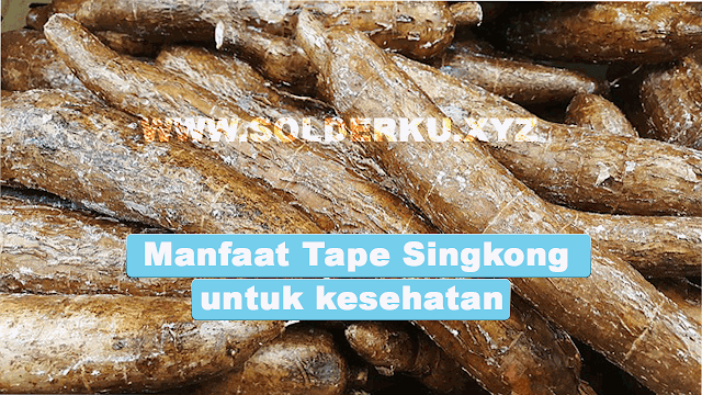 7 Manfaat Tape Singkong Bagi Kesehatan Tubuh