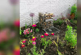 Nature Id Victorian Box 02 21 14 Hatton Canyon