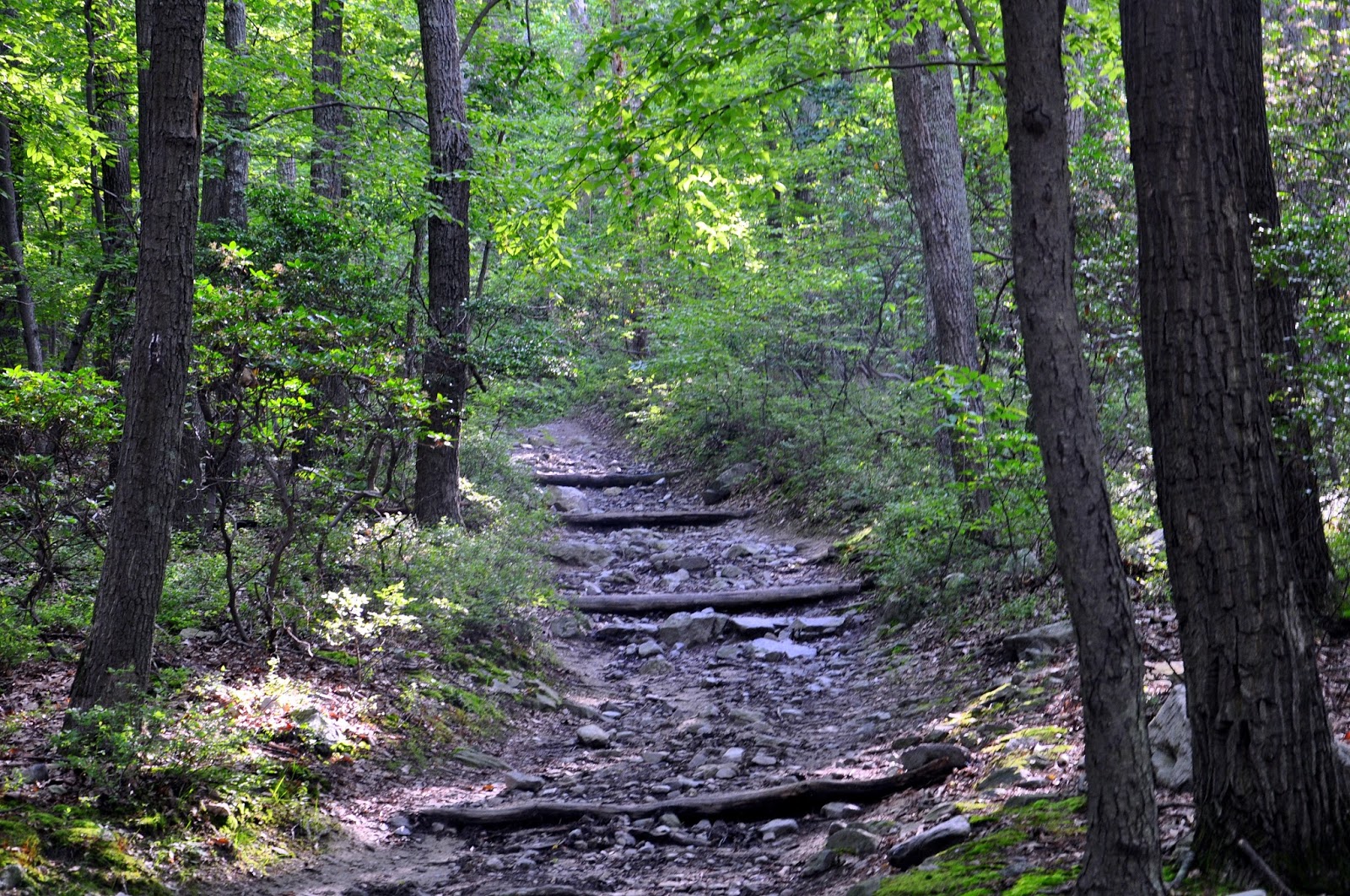MidAtlantic DayTrips Hike to Annapolis Rocks