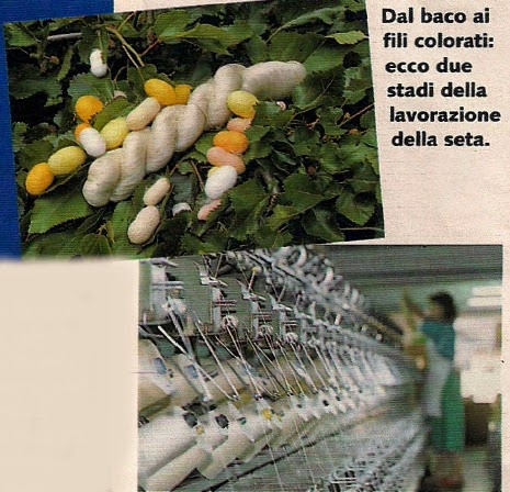 Seducente, leggera, freschissima ...La seta