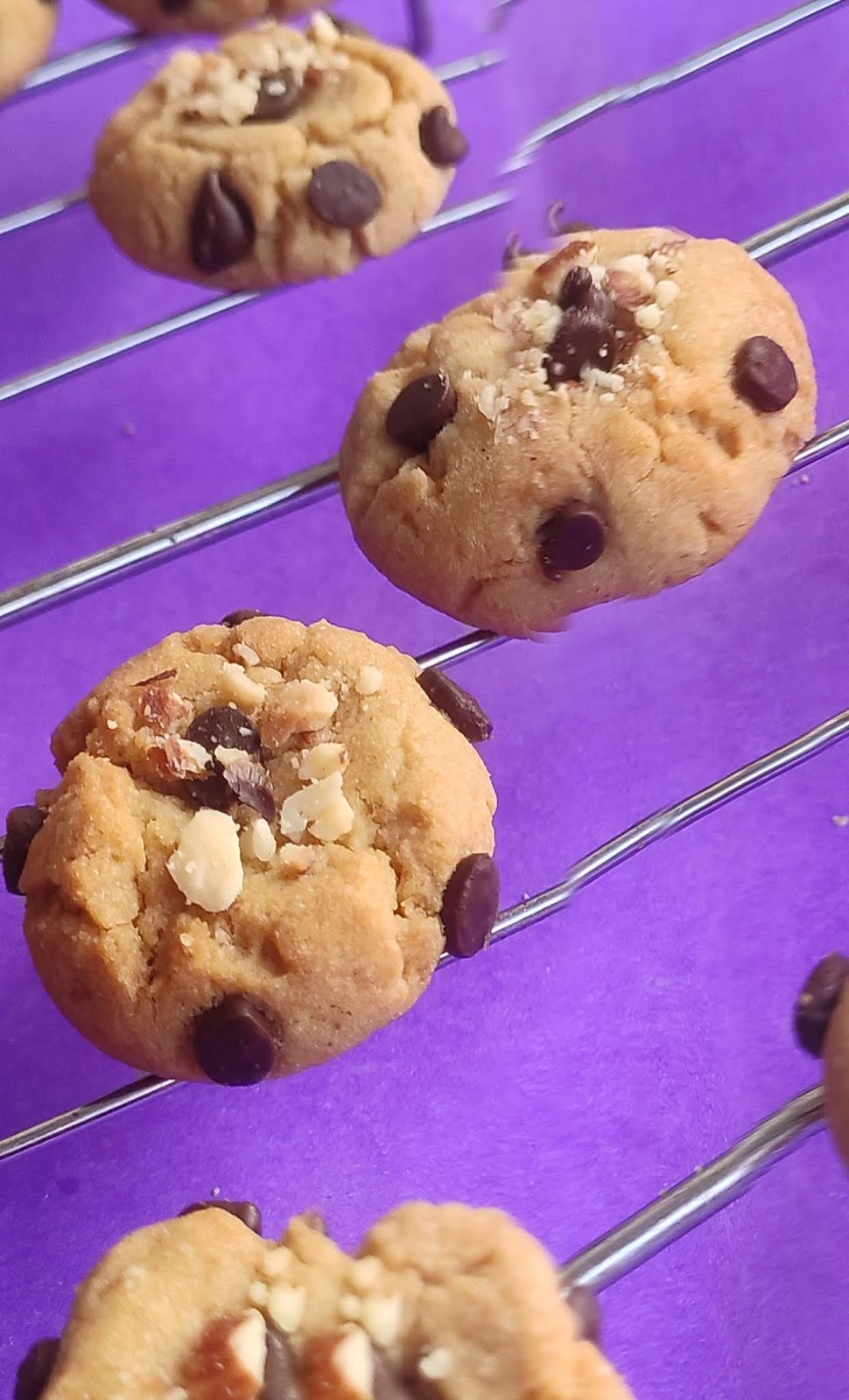 Eggless Cookie Recipe Tips for Beginners India Without Baking Powder by