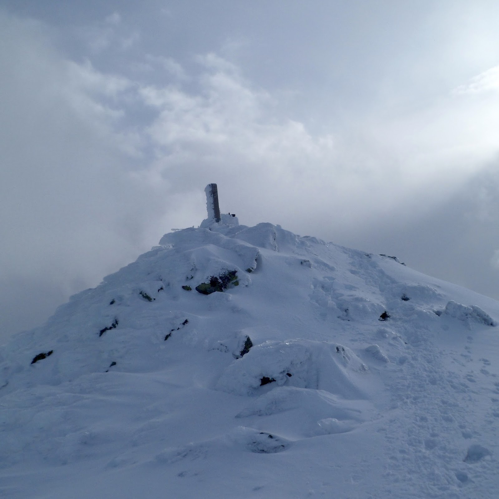 MI RINCON: ENERO Y FEBRERO MOVIDITO