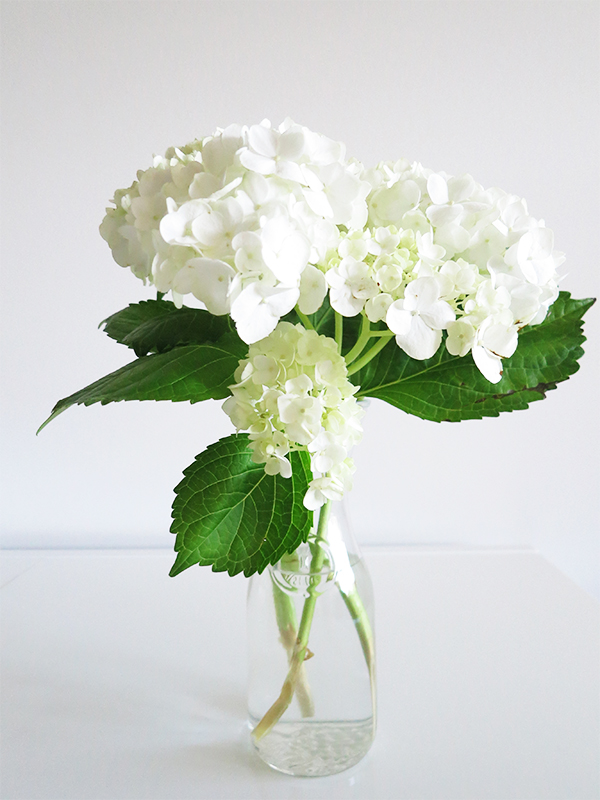 How To Make Hydrangeas Last Forever Solo Lisa