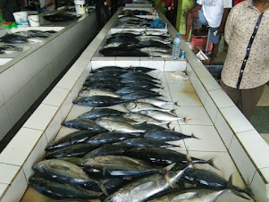 Male'Fish Market.Tuna Fish catch.