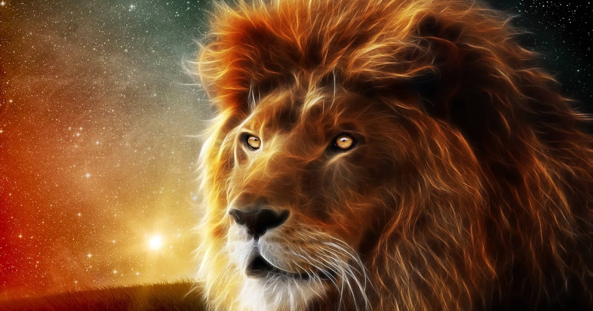 Lion Wallpaper Download in High Resolution - Free New Wallpapers | HD