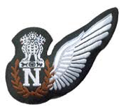 IAF Navigator’s Badge