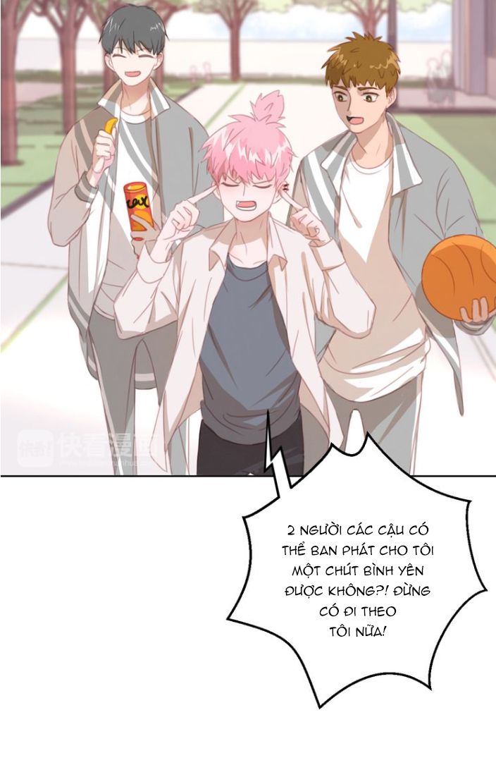 Đọc truyện Thế giới của một chú mèo - Chapter 10