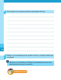 Apoyo Primaria Español 1er grado Bimestre 5 lección 8 ¿Quién es y cómo es?