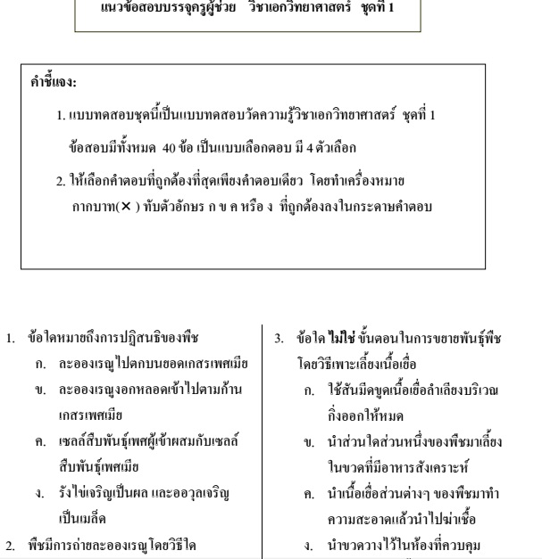 My Image 19