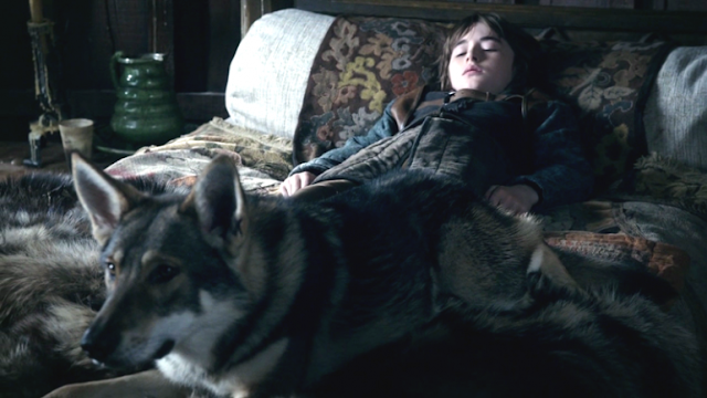 Direwolf Summer and Bran Stark on bed from game of thrones TV series