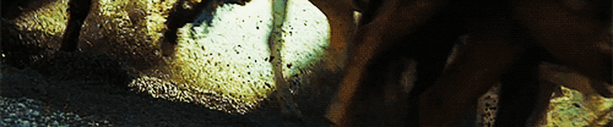 [반지의제왕] 명장면으로 꼽히는 로한 기마병의 돌격 장면들.gif | 인스티즈