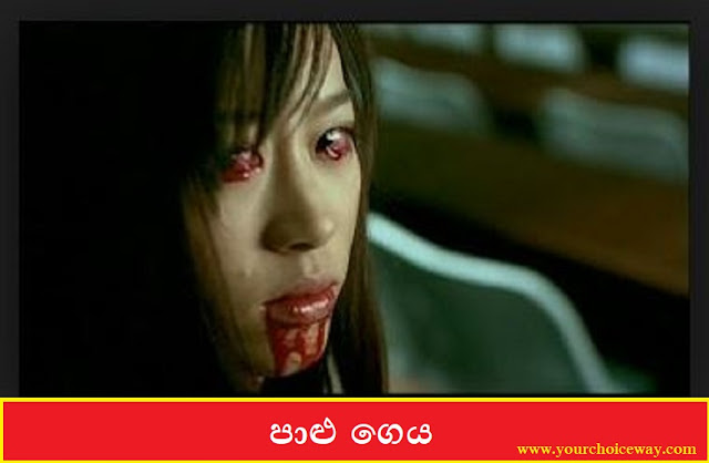 පාළු ගෙය (Palu Geya)[The Deserted House] - Your Choice Way