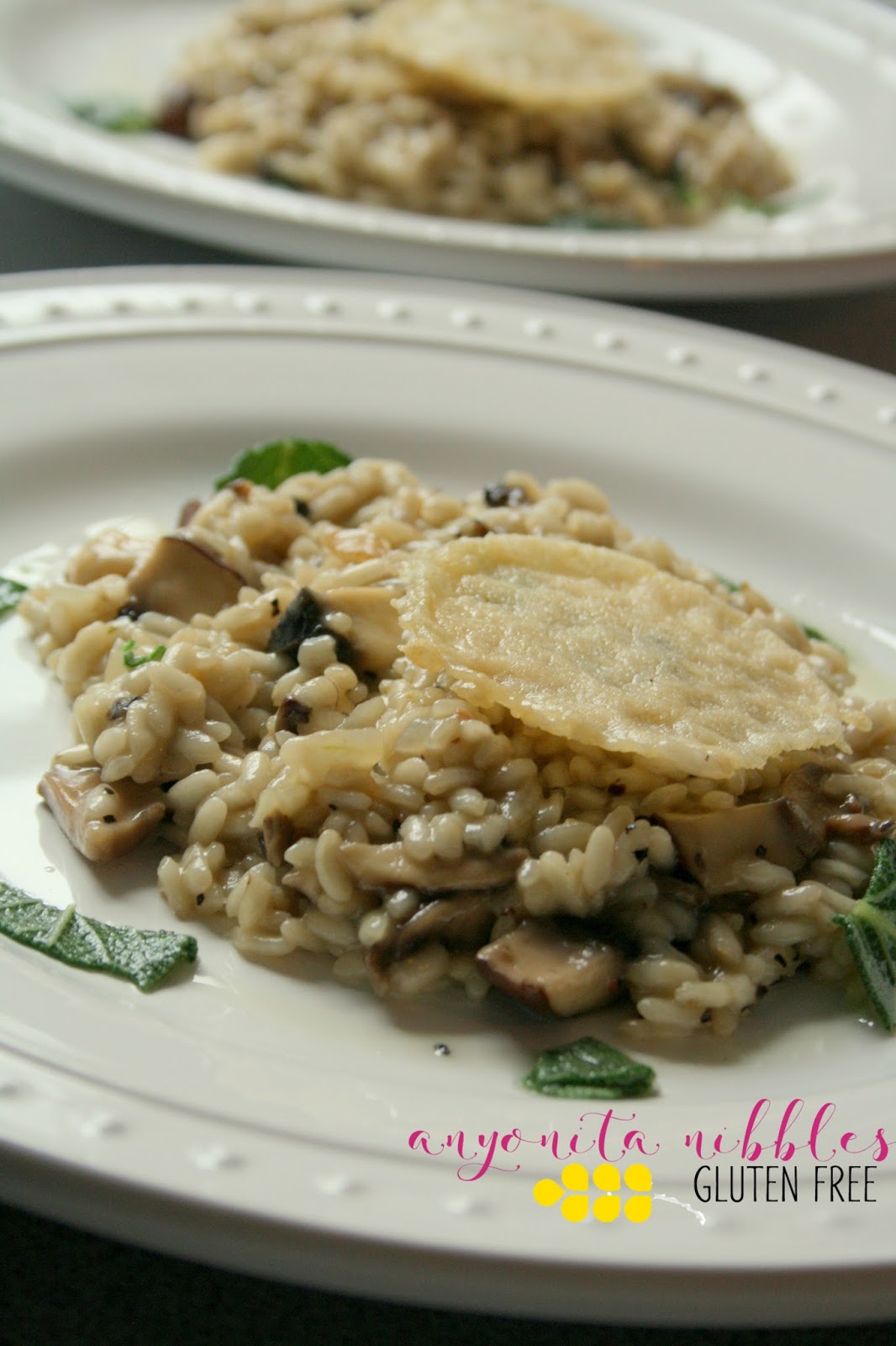 Anyonita Nibbles GlutenFree Recipes Gluten Free Portabello Risotto